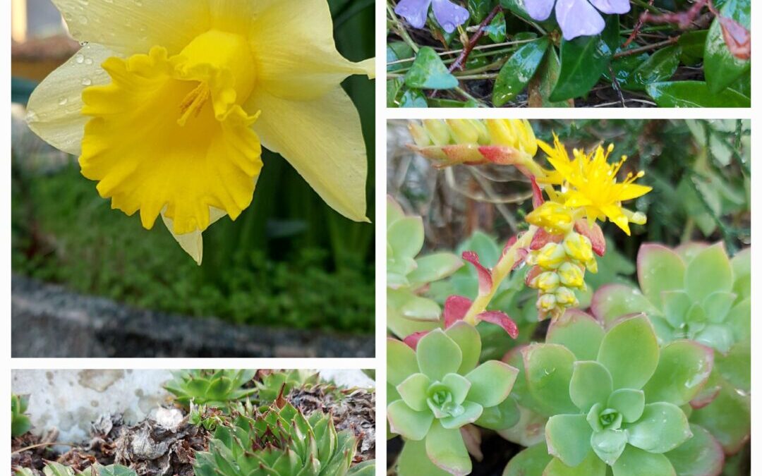 U povodu Dana voda, 22. ožujka 2026. u našoj školi, 4. b.